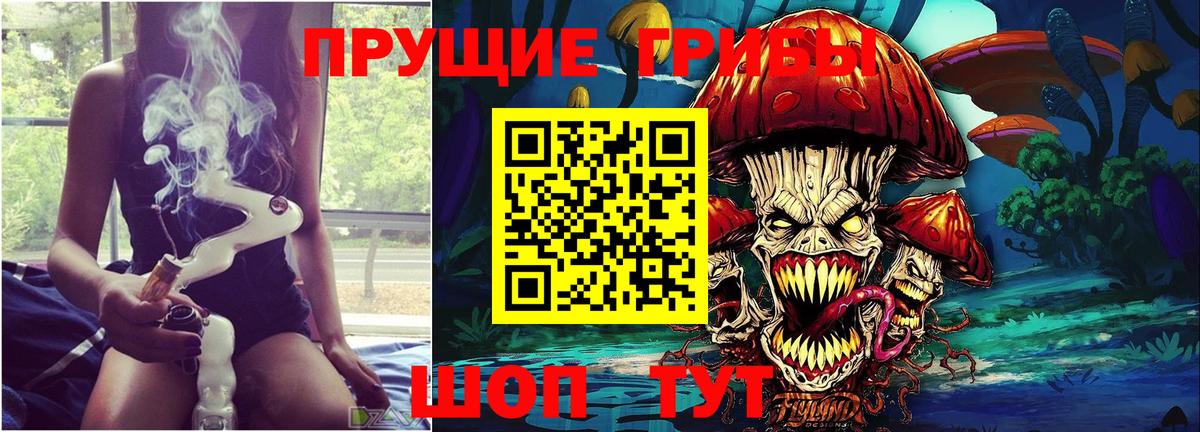 Галлюциногенные грибы Psilocybe  купить наркотики цена  Дедовск  Вход с VPN  Галлюциногенные грибы Psilocybine cubensis 